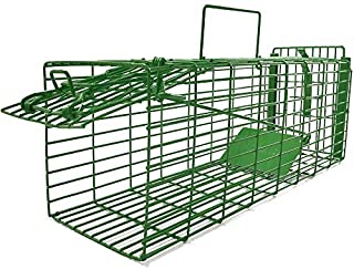 Kat Sense Humane Large Rat Trap, Cage Traps for Squirrels, Weasels & Small Animals, Live Catch & Release 2 Door Trap That Works, Outdoor _ Indoor