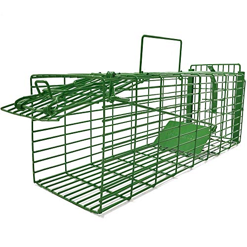 Kat Sense Humane Large Rat Trap, Cage Traps for Squirrels, Weasels & Small Animals, Live Catch & Release 2 Door Trap That Works, Outdoor _ Indoor