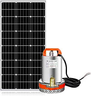 ECO-WORTHY Solar Water Pump System Kit, 100W Solar Panel + 12V DC Submersible Utility Pump for Watering Sewage Irrigation Fountain