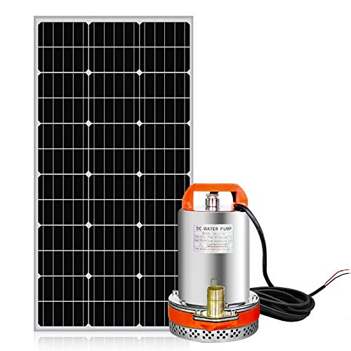 ECO-WORTHY Solar Water Pump System Kit, 100W Solar Panel + 12V DC Submersible Utility Pump for Watering Sewage Irrigation Fountain