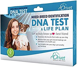 Orivet Dog Breed Identification DNA Test