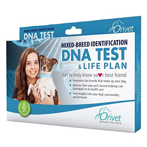 Orivet Dog Breed Identification DNA Test