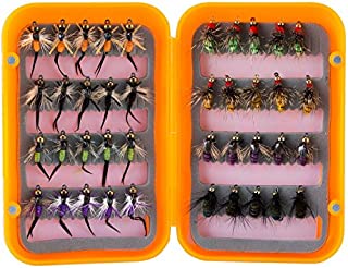 Piscifun 40pcs Wet Flies Fly Fishing Lures Bass Salmon Trouts Sinking Flies Assortment with Fly Box Multicolor 10# Hook