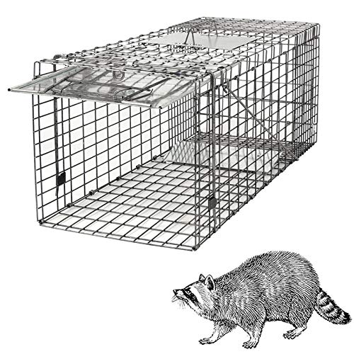 HomGarden Live Animal Cage Trap 32'' Steel Humane Release Rodent Cage for Rabbits, Stray Cat, Squirrel, Raccoon, Mole, Gopher, Chicken, Opossum, Skunk, Chipmunks, Groundhog Squire