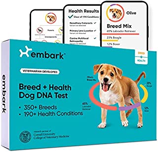 Embark | Dog DNA Test | Breed & Health Kit | Breed Identification & Canine Genetic Health Screening