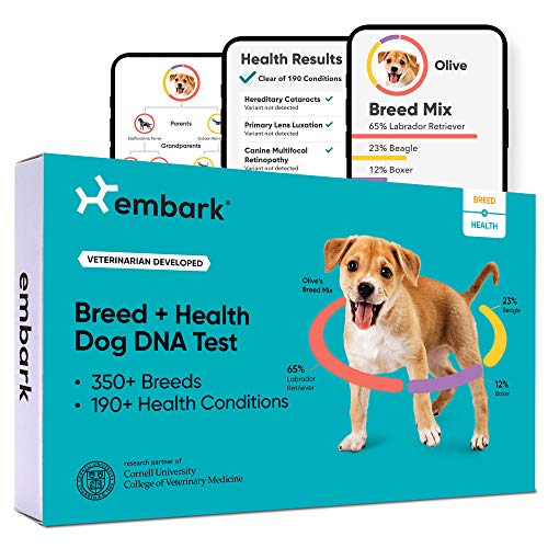 Embark | Dog DNA Test | Breed & Health Kit | Breed Identification & Canine Genetic Health Screening