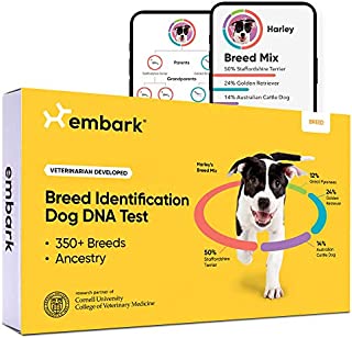 Embark | Dog DNA Test | Breed Identification Kit