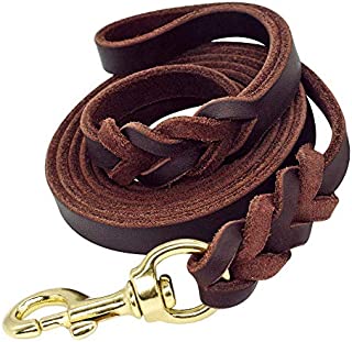 Beirui Leather Dog Leash - Training & Walking Braided Dog Leash - 4 ft by 1/2 in (120cm 1.2cm) - Latigo Leather Brown