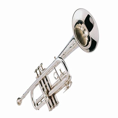 Learn Trumpet Playing Videos