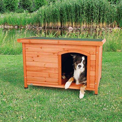 8 Best Dog Houses For Hot Weather