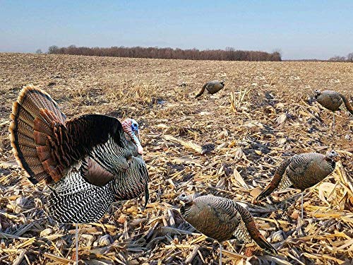 TCDesignerProducts, Wild Turkey Silhouette Decoys, Hunting Decoys, Set of 5