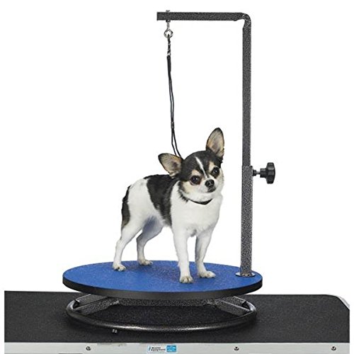 7 Best Dog Grooming Tables