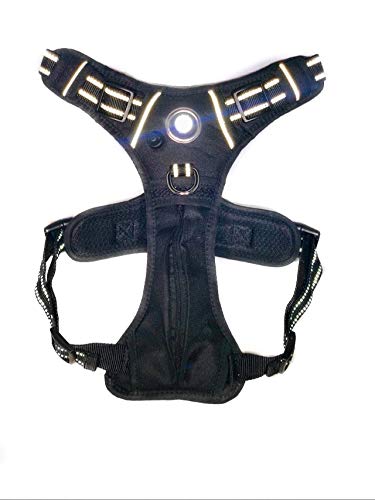 Headlight Harness