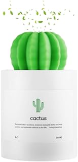 Onuemp Cactus