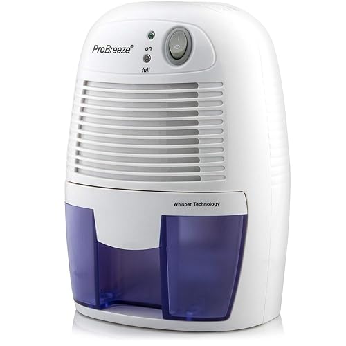 10 Best Mini Dehumidifiers