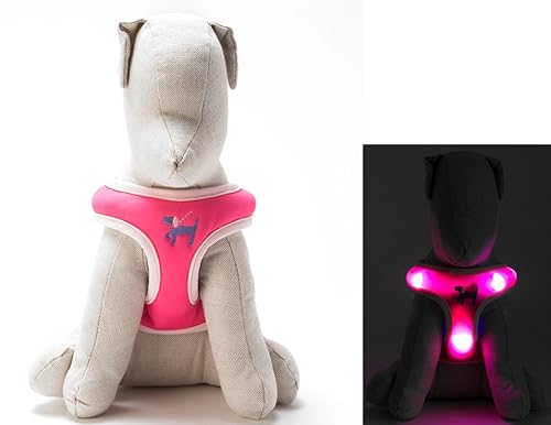 Dog-E-Glow