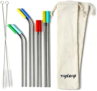 Reusable Stainless Steel Straws