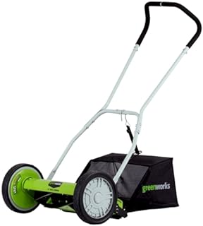 Greenworks 2-in-1