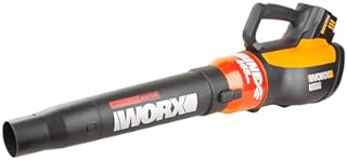 Worx WG591