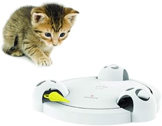 PetSafe Pounce