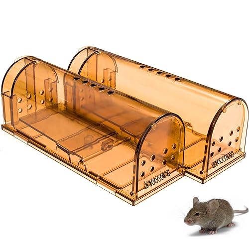 7 Best Humane Mouse Traps