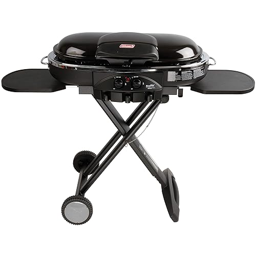 10 Best Portable Gas Grills