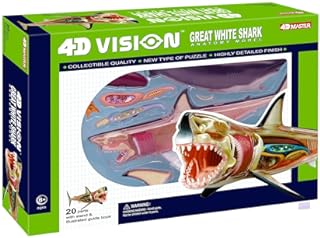 4D Vision Great White Shark