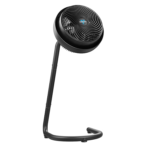 10 Best Pedestal Fans