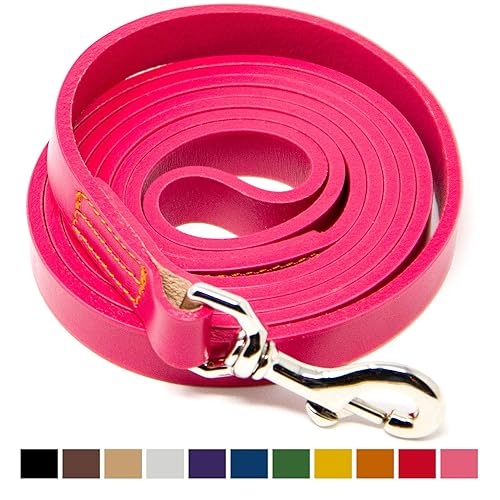 10 Best Leather Dog Leashes