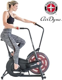 Schwinn AD2 Airdyne Bike