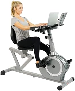 Sunny Health & Fitness Recumbent