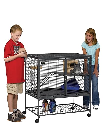 6 Best Hamster Cages