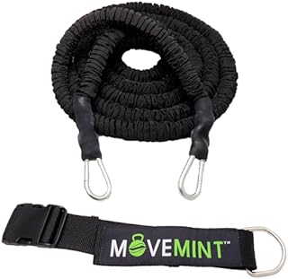 Movemint Band Trainer