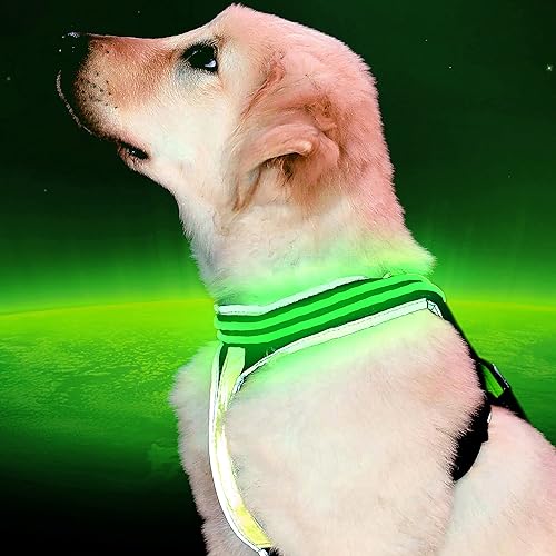 Pet Industries Reflective