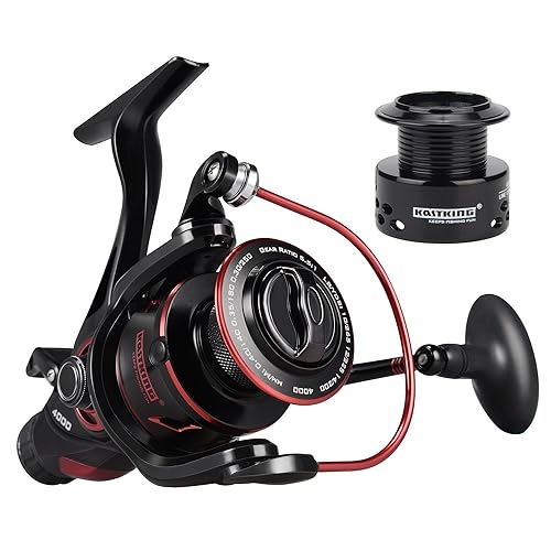 10 Best Baitrunner Reels