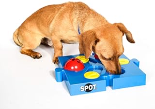 Spot Seek-A-Treat